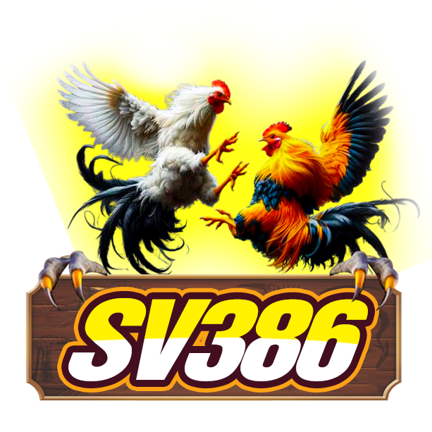 BJ292.COM – Đá Gà Thomo Trực Tiếp Tại BJ292